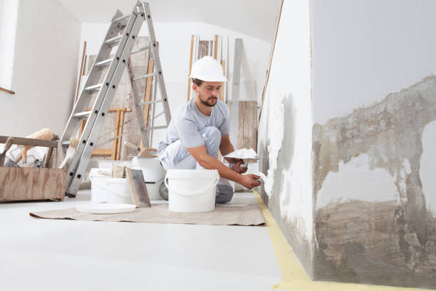 Best Expert Drywall Texturing  in Louisburg, KS