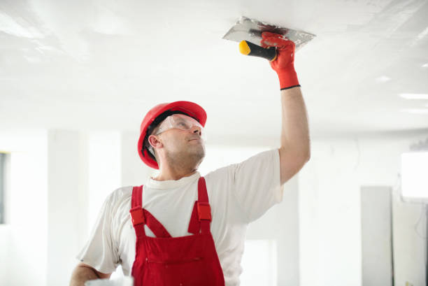 Best Custom Drywall Patching  in Louisburg, KS